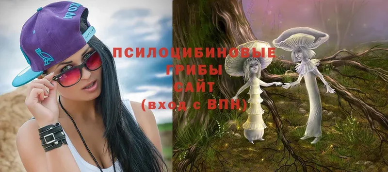 Галлюциногенные грибы мухоморы Каменск-Шахтинский