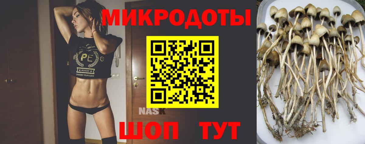 Каменск-Шахтинский  Псилоцибиновые грибы Psilocybe  Вход с VPN 